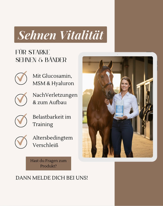 Sehnen Vitalität