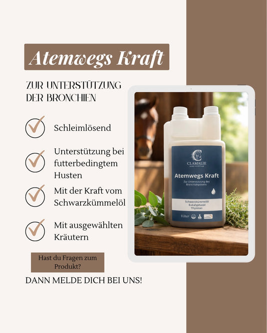 Atemwegs Kraft