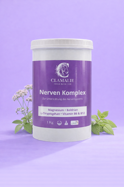 Nerven Komplex