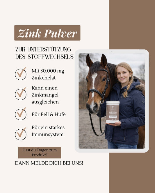 Zink Pulver