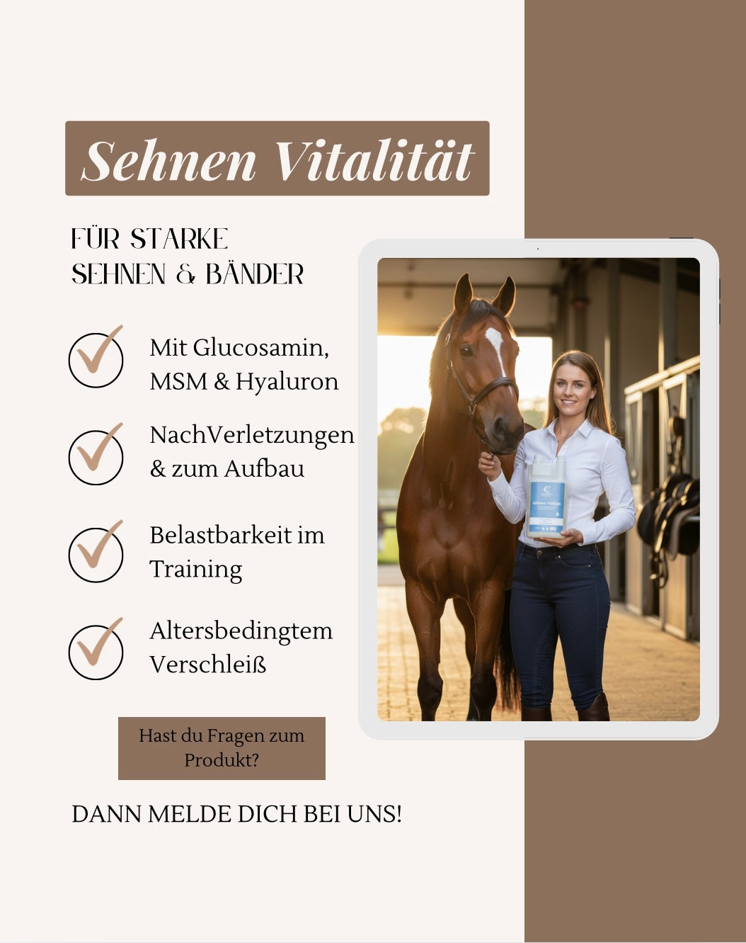 Sehnen Vitalität