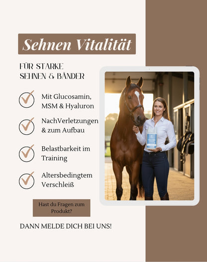 Sehnen Vitalität