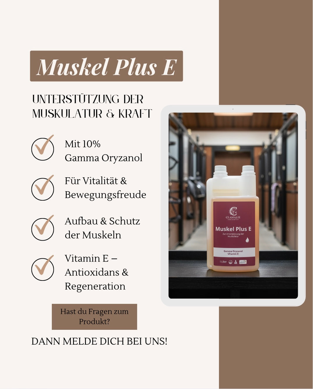 Muskel Plus E