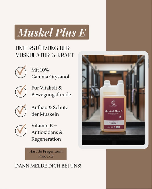 Muskel Plus E