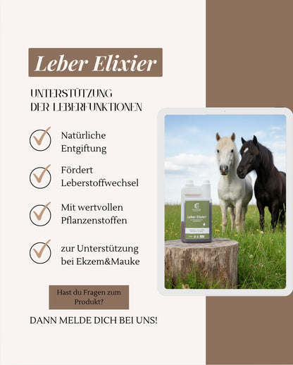 Leber Elixier