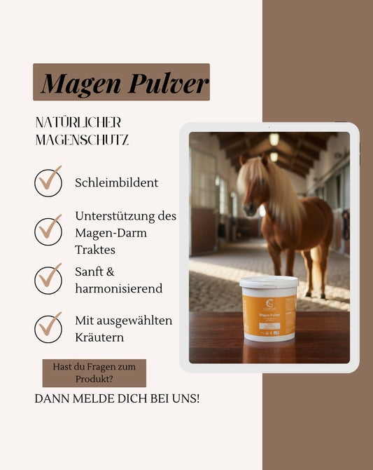 Magen Pulver