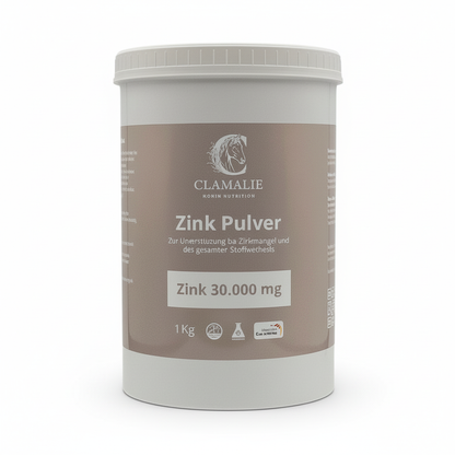 Zink Pulver