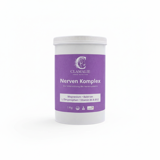 Nerven Komplex Bild 1